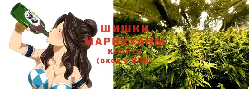 Бошки марихуана сатива  блэк спрут вход  Кириллов 